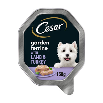 Cesar Garden Terrine Hundefutter Tablett Lamm Truthahn und grüne Bohnen in Laib 150g